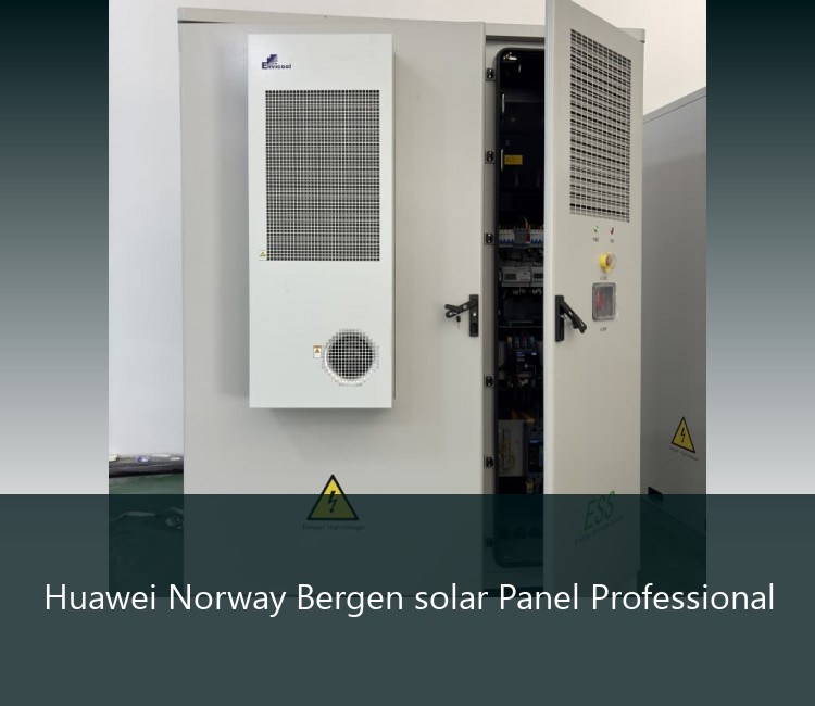 Huawei Norway Bergen solar Panel Professional