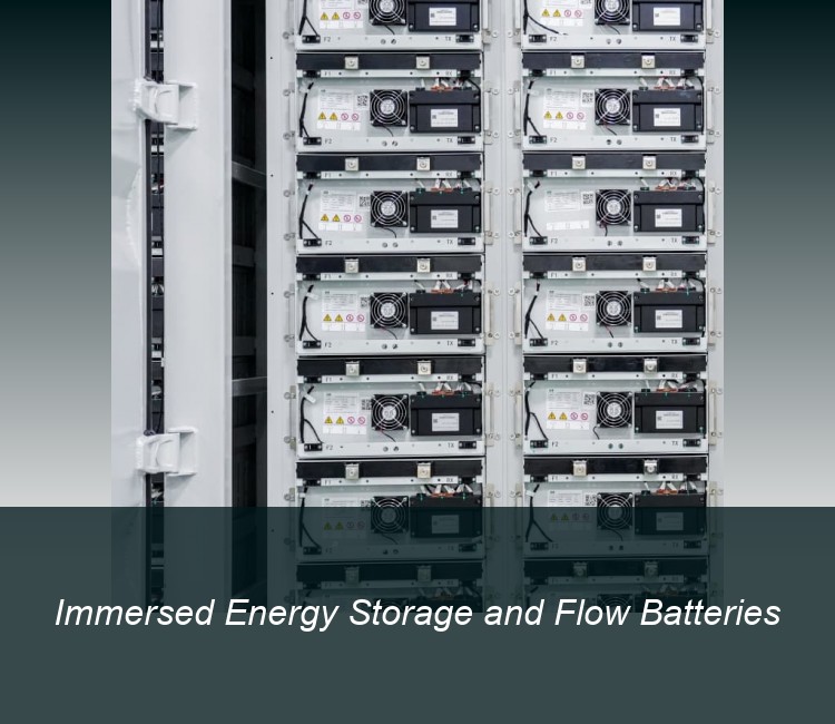 Immersed Energy Storage and Flow Batteries