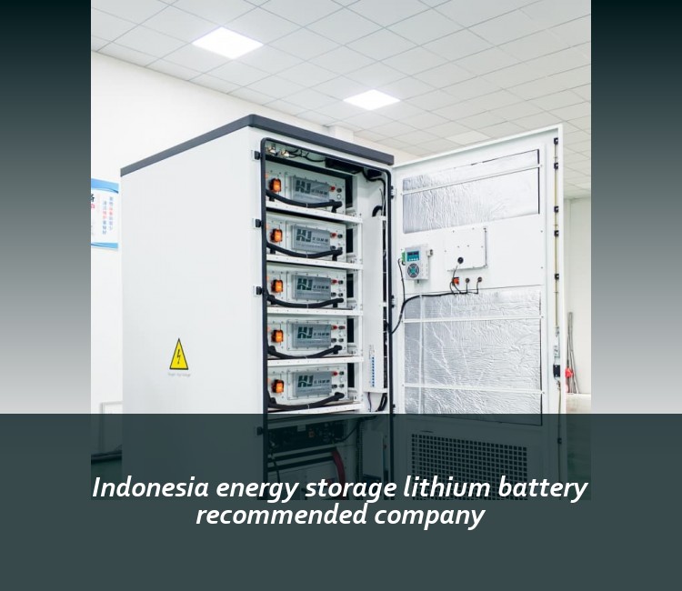 Indonesia energy storage lithium battery recommended company