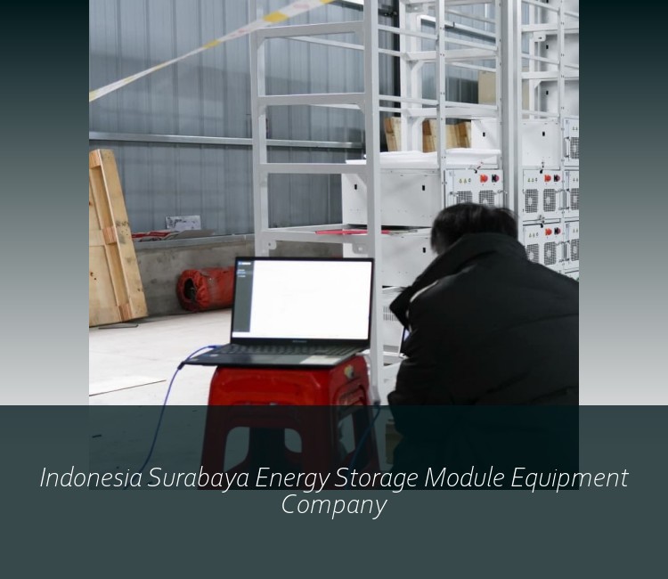 Indonesia Surabaya Energy Storage Module Equipment Company