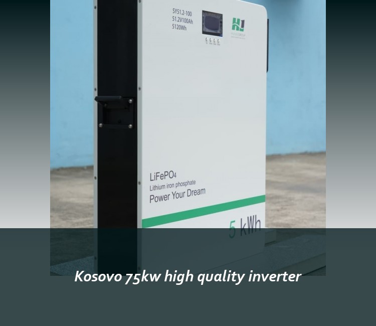 Kosovo 75kw high quality inverter