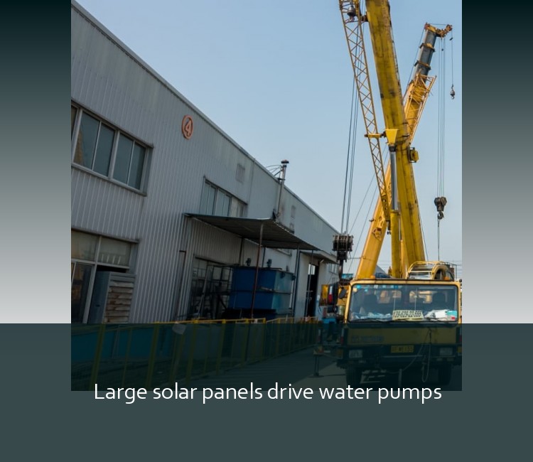Large solar panels drive water pumps
