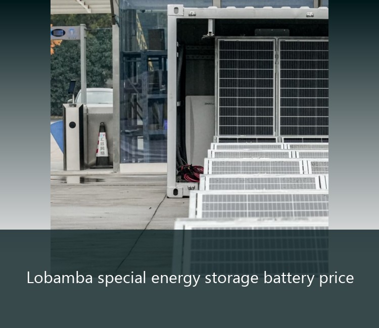 Lobamba special energy storage battery price
