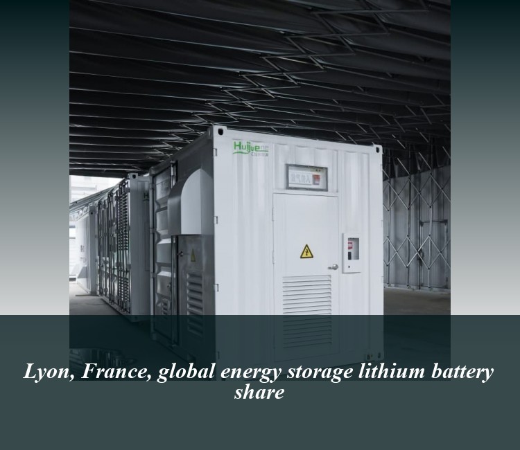 Lyon, France, global energy storage lithium battery share