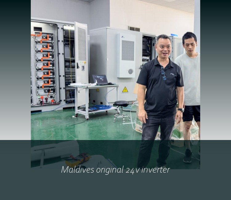 Maldives original 24v inverter