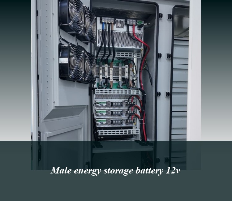 Male energy storage battery 12v