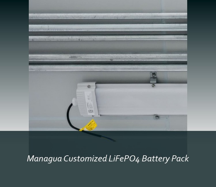 Managua Customized LiFePO4 Battery Pack