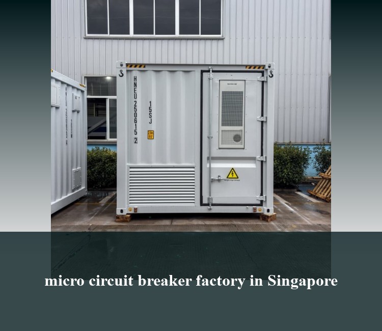 micro circuit breaker factory in Singapore
