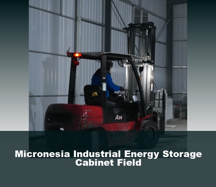 Micronesia Industrial Energy Storage Cabinet Field