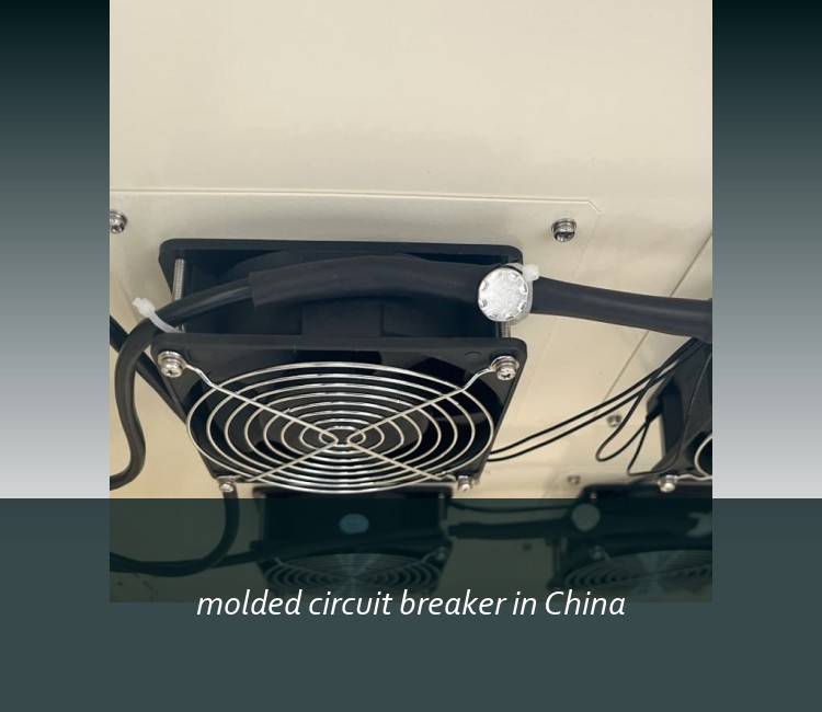 molded circuit breaker in China