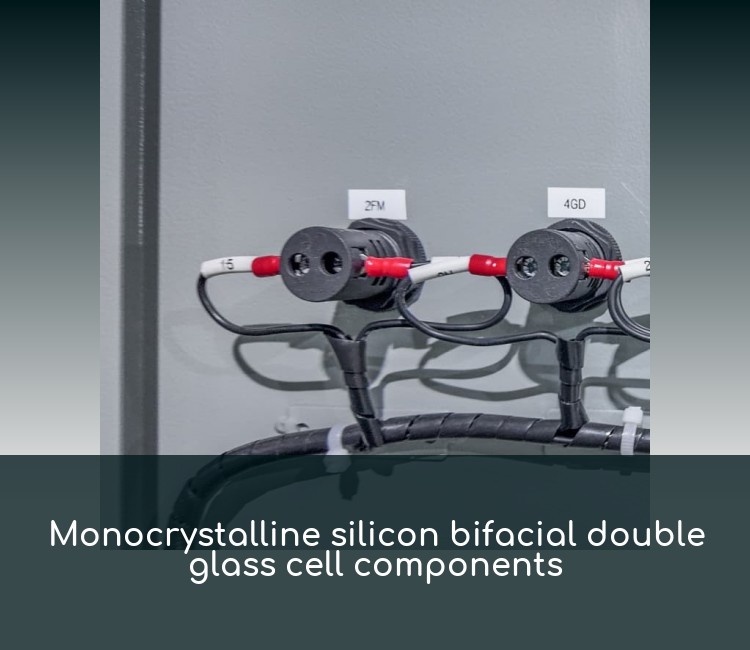 Monocrystalline silicon bifacial double glass cell components