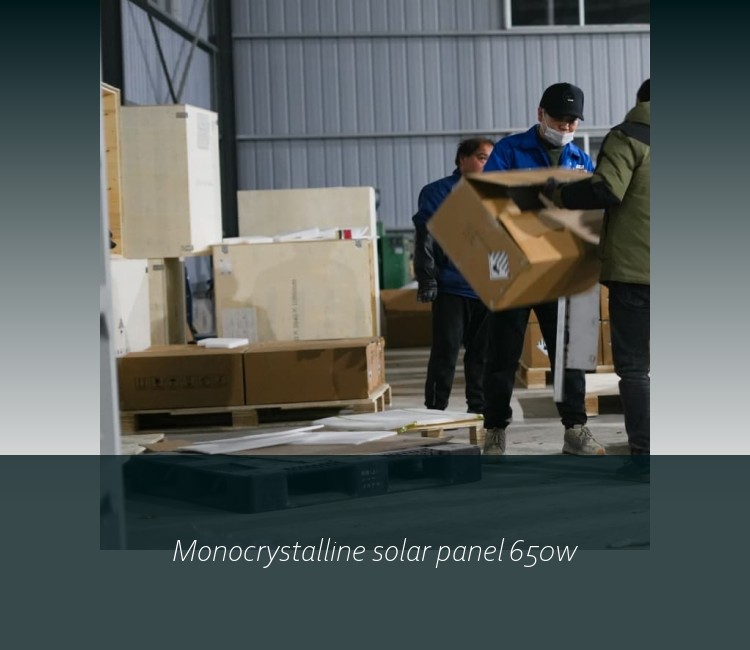 Monocrystalline solar panel 650w