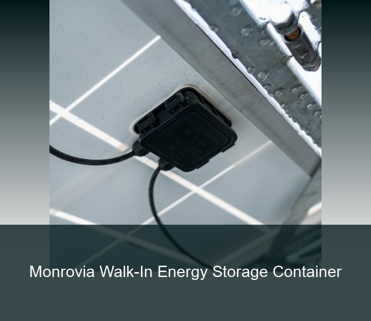 Monrovia Walk-In Energy Storage Container