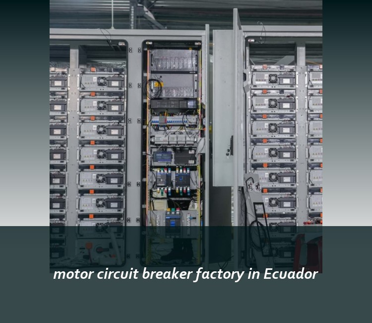 motor circuit breaker factory in Ecuador