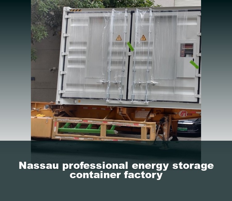 Nassau professional energy storage container factory