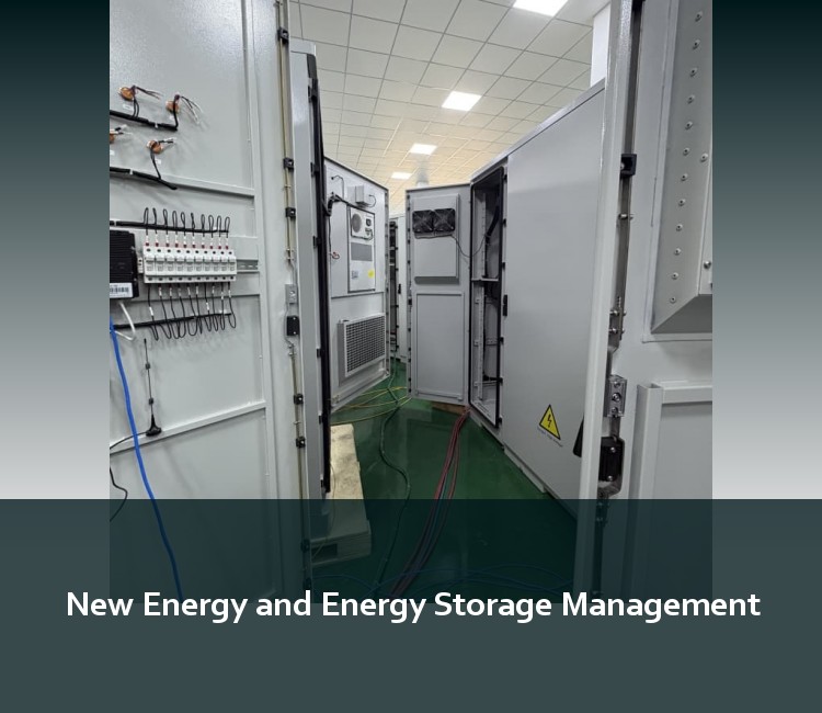 New Energy and Energy Storage Management