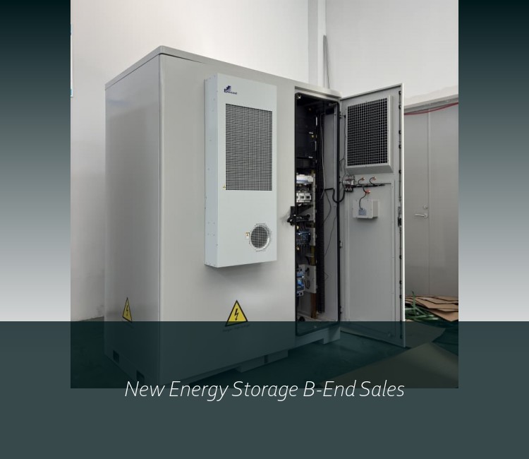 New Energy Storage B-End Sales