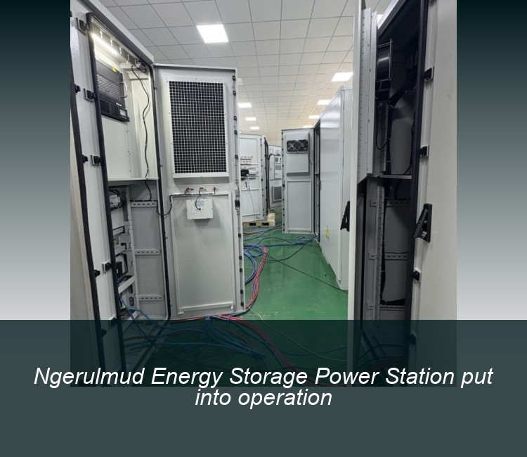 Ngerulmud Energy Storage Power Station put into operation