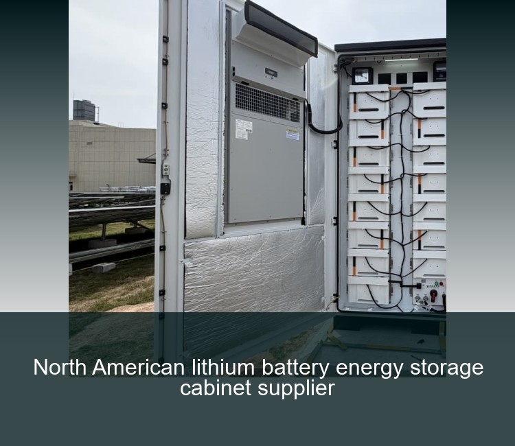 North American lithium battery energy storage cabinet supplier