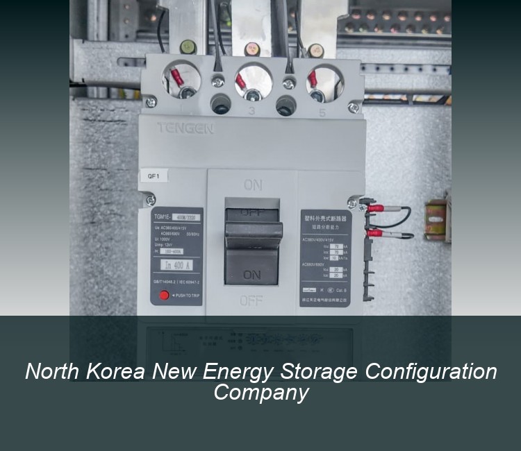 North Korea New Energy Storage Configuration Company