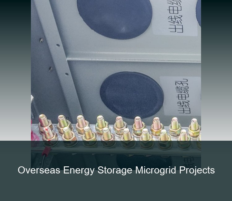Overseas Energy Storage Microgrid Projects