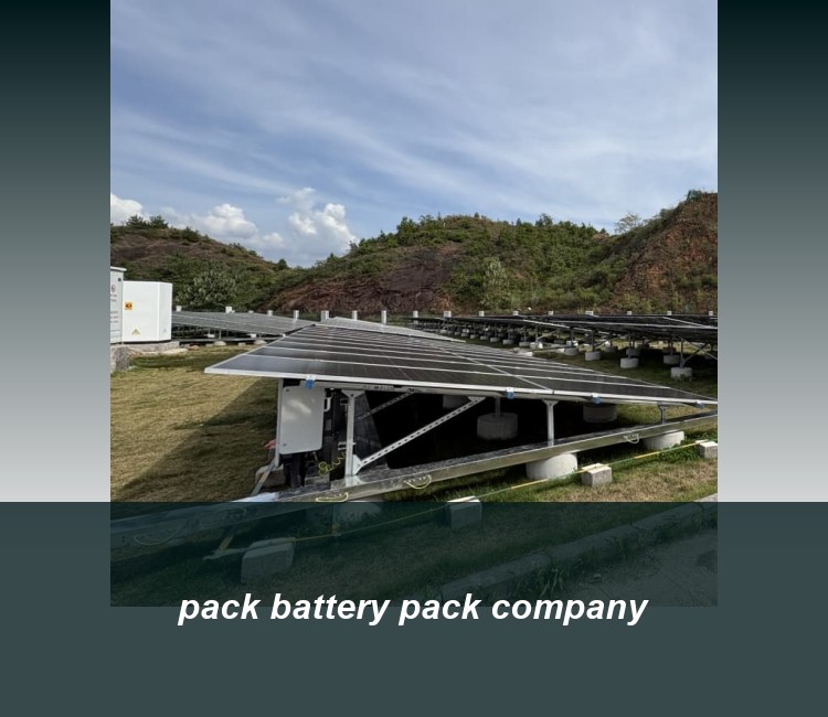 pack battery pack company