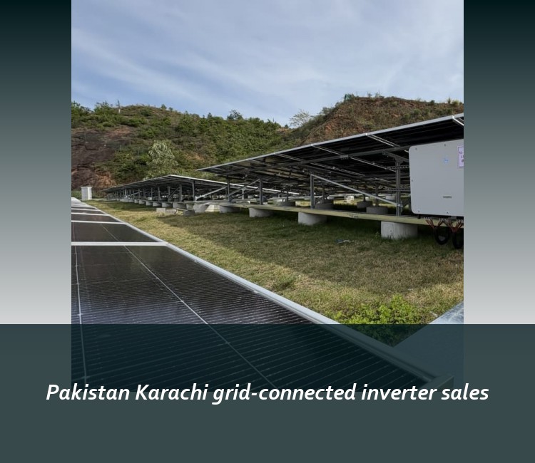 Pakistan Karachi grid-connected inverter sales