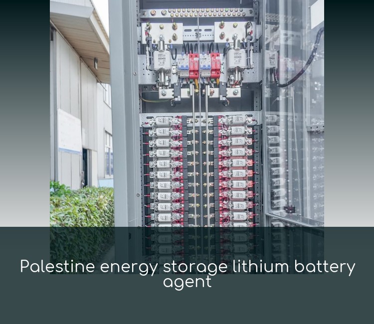 Palestine energy storage lithium battery agent