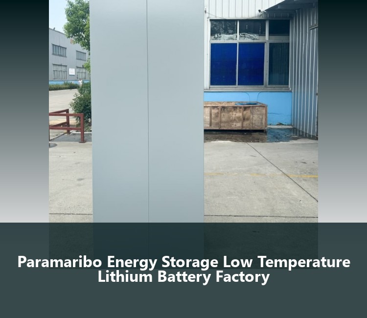 Paramaribo Energy Storage Low Temperature Lithium Battery Factory
