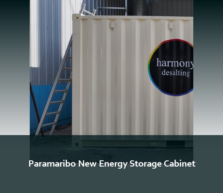 Paramaribo New Energy Storage Cabinet