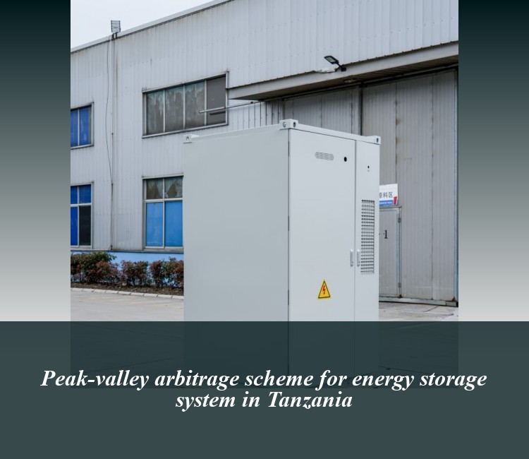Peak-valley arbitrage scheme for energy storage system in Tanzania