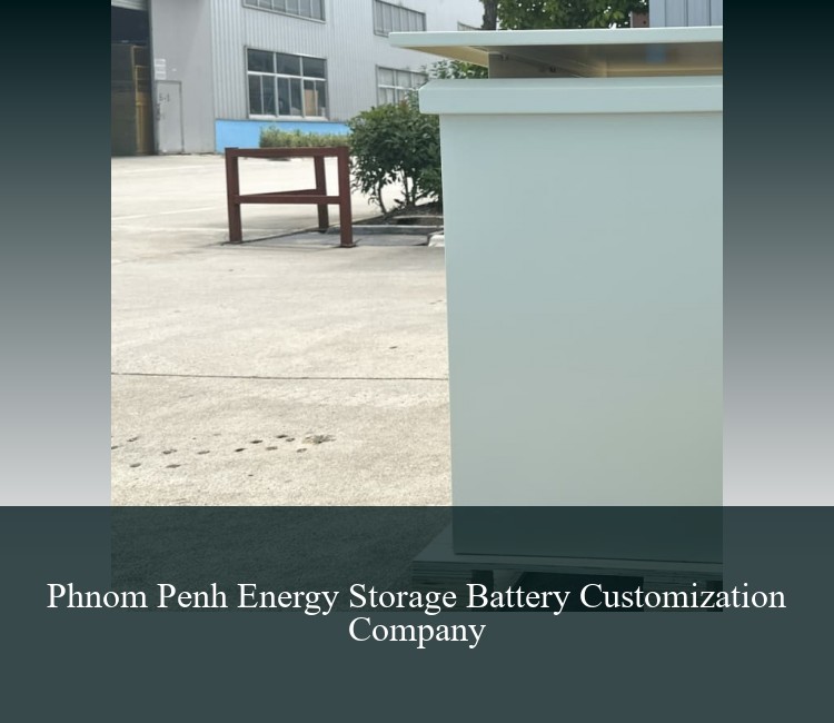 Phnom Penh Energy Storage Battery Customization Company