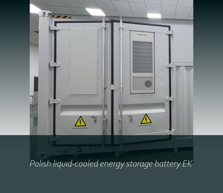 Polish liquid-cooled energy storage battery EK