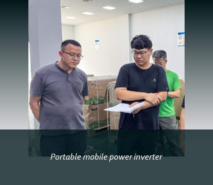 Portable mobile power inverter