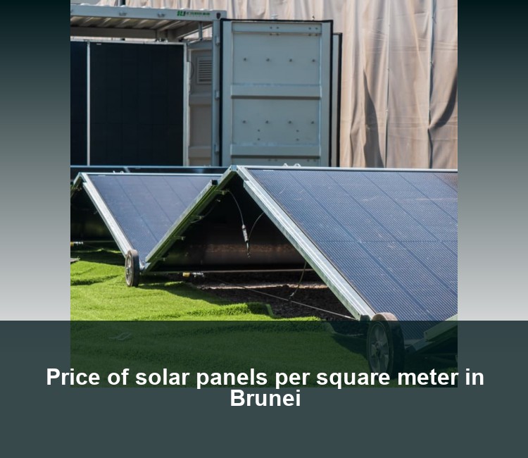 Price of solar panels per square meter in Brunei