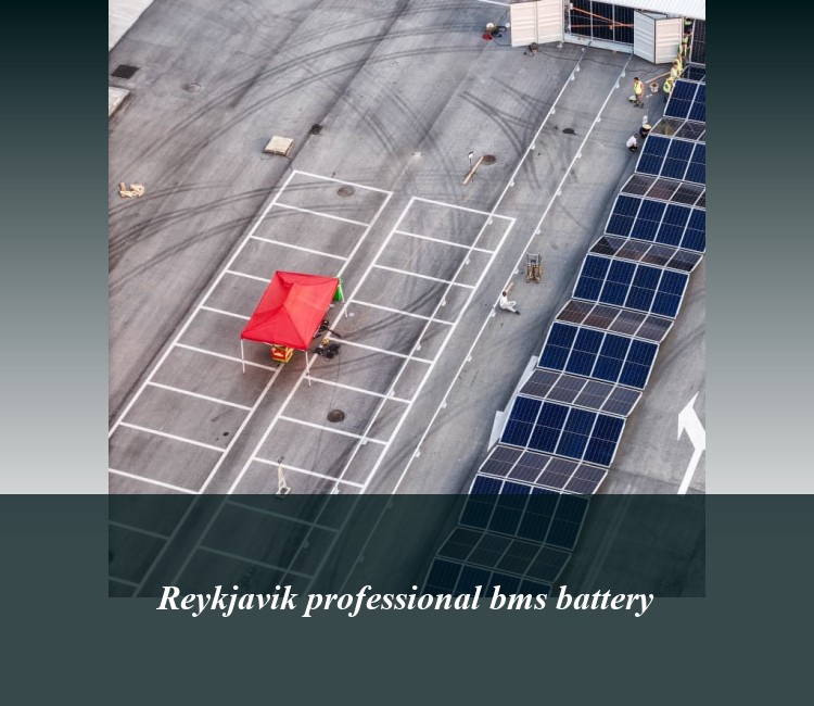 Reykjavik professional bms battery