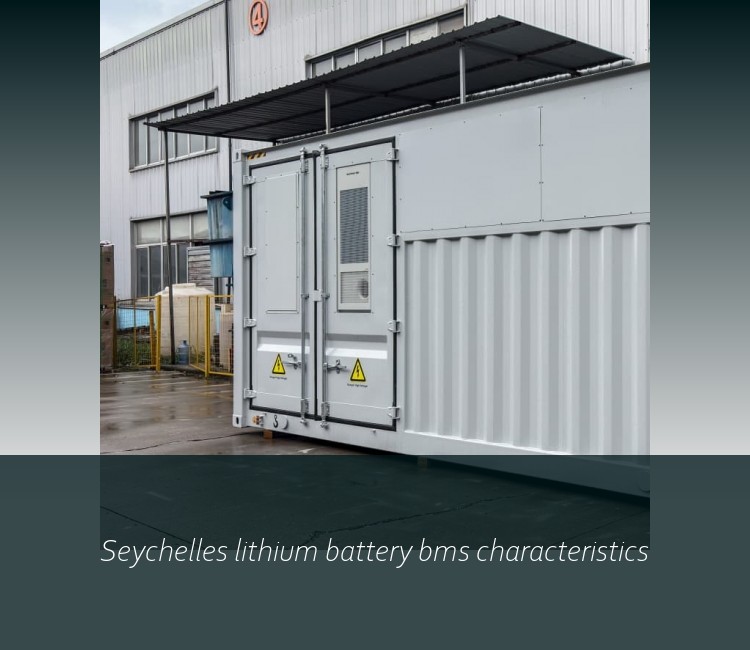 Seychelles lithium battery bms characteristics