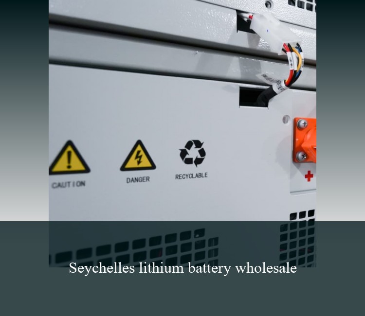 Seychelles lithium battery wholesale