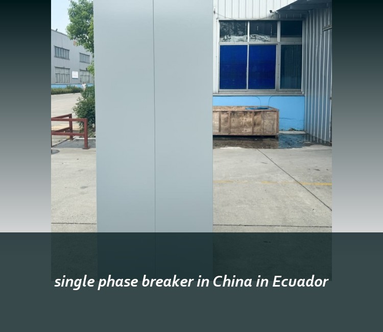 single phase breaker in China in Ecuador