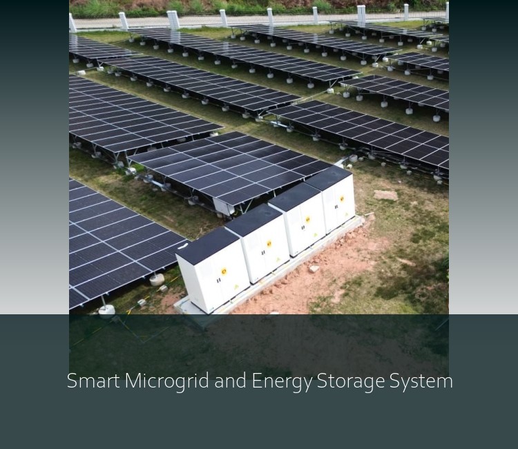 Smart Microgrid and Energy Storage System