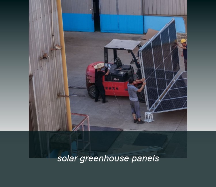 solar greenhouse panels