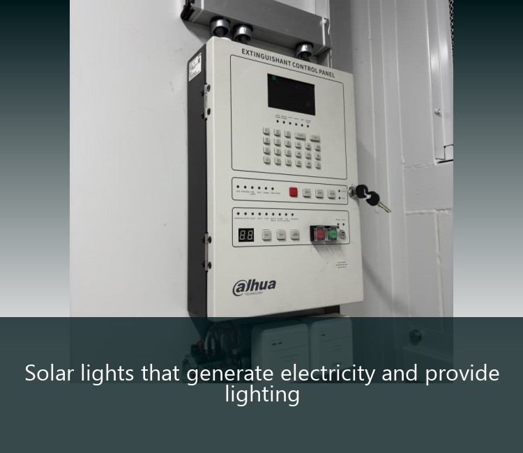 Solar lights that generate electricity and provide lighting