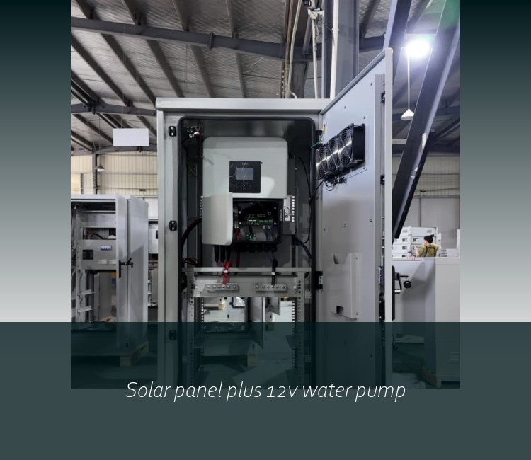 Solar panel plus 12v water pump