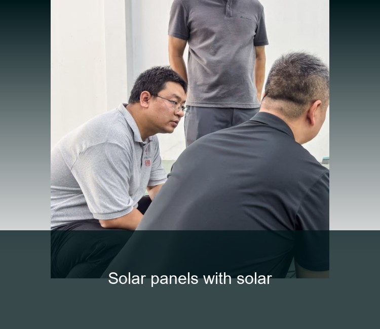 Solar panels with solar