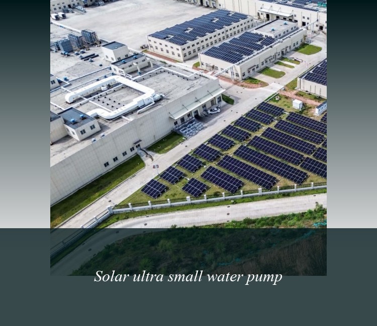 Solar ultra small water pump