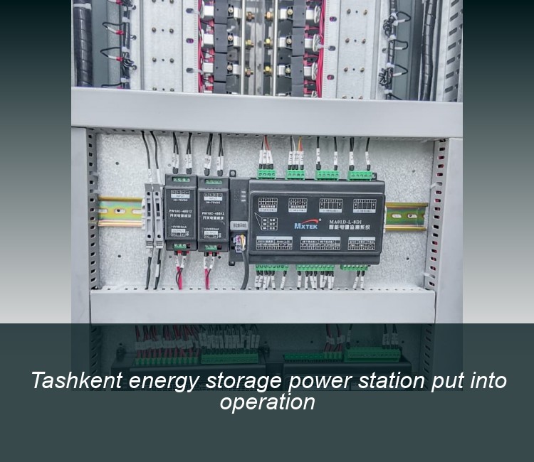 Tashkent energy storage power station put into operation