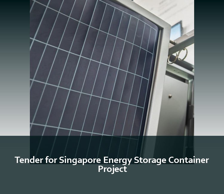 Tender for Singapore Energy Storage Container Project