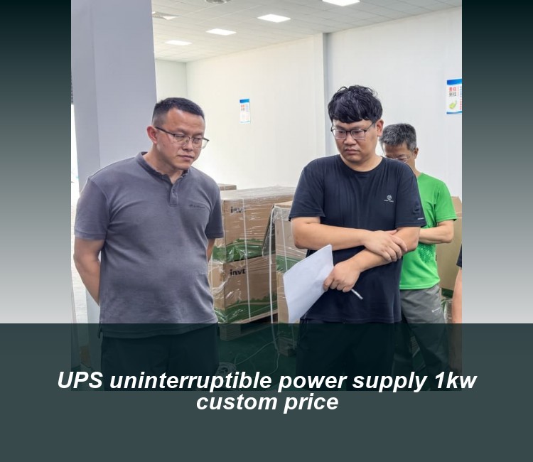 UPS uninterruptible power supply 1kw custom price