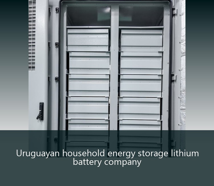 Uruguayan household energy storage lithium battery company