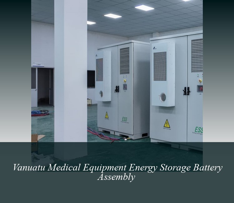 Vanuatu Medical Equipment Energy Storage Battery Assembly